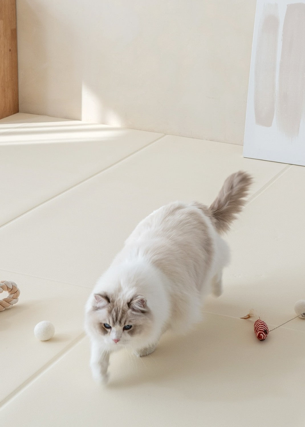 Dfang Comfort Pet Mat 7mm ( Folding Type-140 cm )