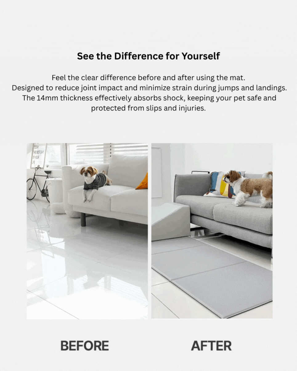 Dfang Jump Mat 14mm ( Folding Type-70 )