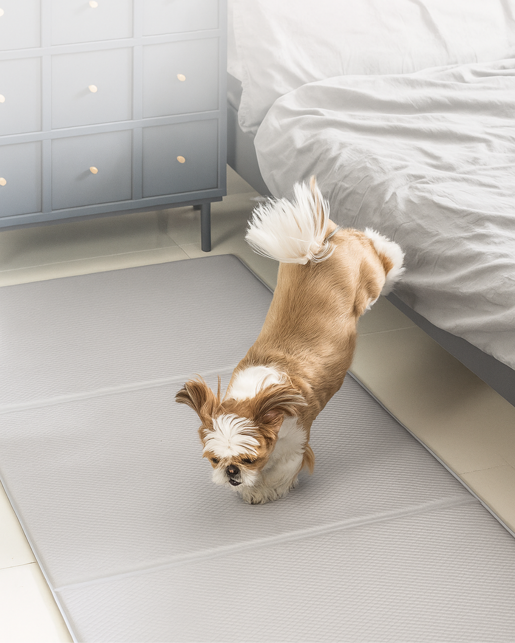 Dfang Jump Mat 14mm ( Folding Type-70 )